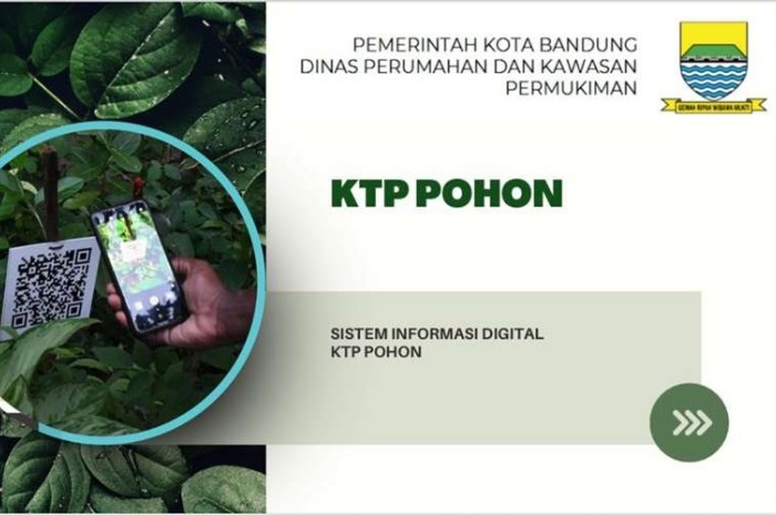Pohon di Bandung akan Diberi KTP untuk Tingkatkan Keselamatan Warga