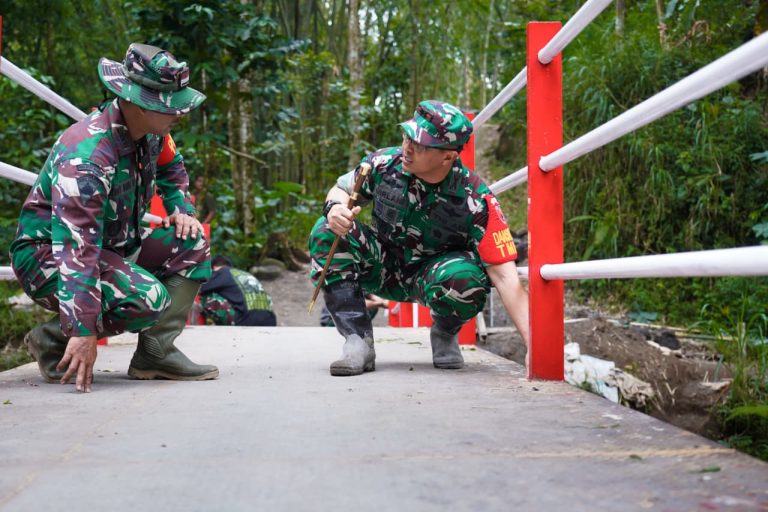 Dansatgas TMMD Ke 127 Pastikan Pembangunan Fisik Tepat Sasaran Di Gandusari
