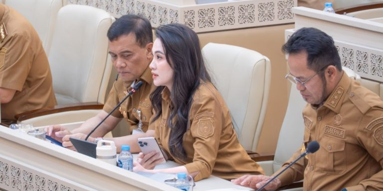 Cerita Gubernur Sherly soal Polemik Pengurusan Tanah di ATR/BPN: Sudah Sejak 2025, Belum Ada Hasilnya